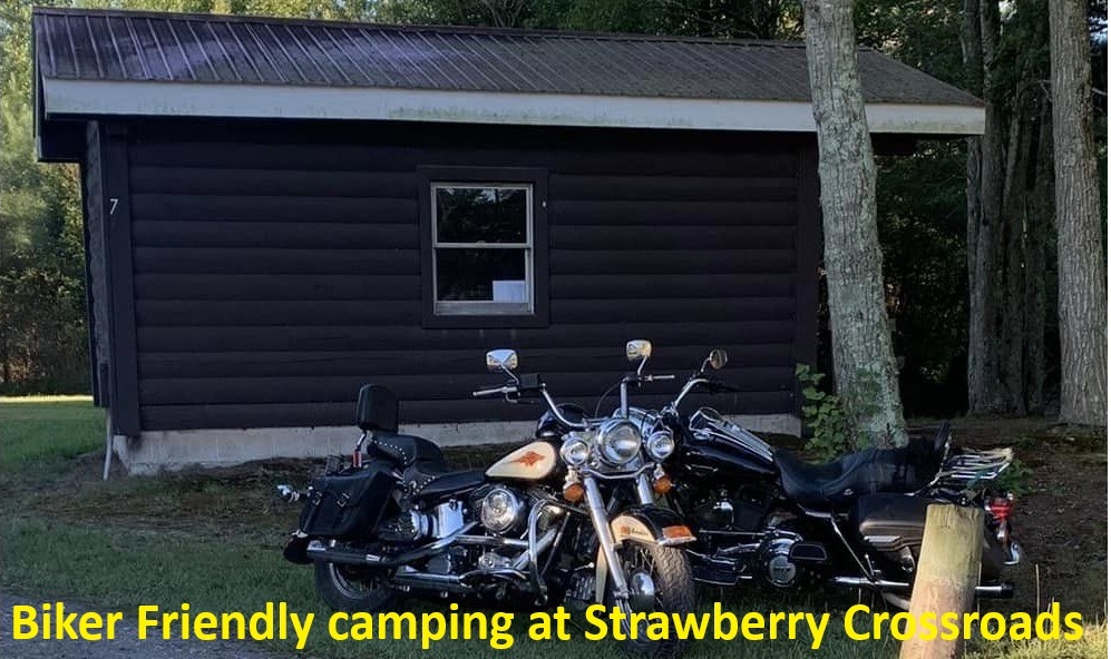 114247_1732194633051-biker